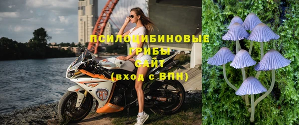 спиды Горняк