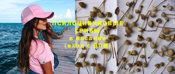 спиды Горняк