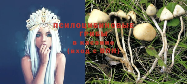спиды Горняк