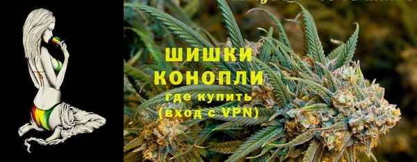 бошки Тында