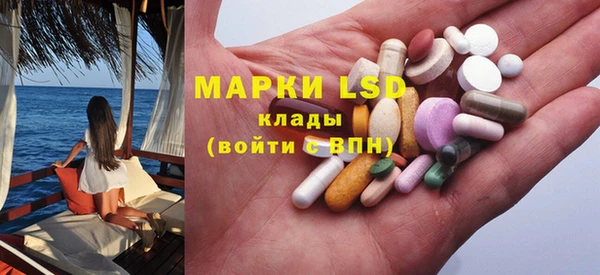 спиды Горняк