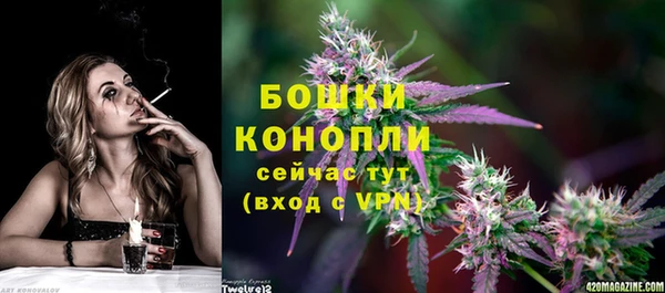 спиды Горняк