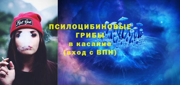 спиды Горняк